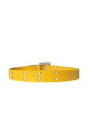 Yellow Crown of Thorns Belt